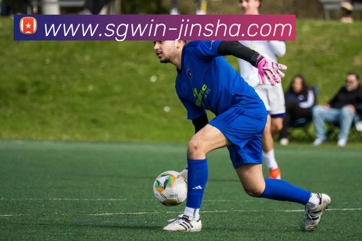 澳门金沙官网APP 高清赛事图